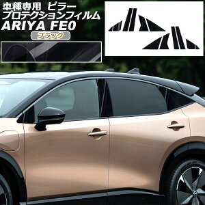 veNVtB s[ Y AA FEn(FE0/SNFE0) 2022N01` ubN F1Zbg(12) AP-PF0023-BK01 protection film pillar