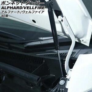 {lbg_p[ g^ At@[h/Ft@CA 40n 2023N06` ubN XeX F1Zbg(2) AP-4T1975 Bonnet damper