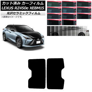J[tB NTX RZ450e XEBM15 2023N03` T[t IR UV fM Iׂ13tBJ[ AP-WFIR0407-S Car film