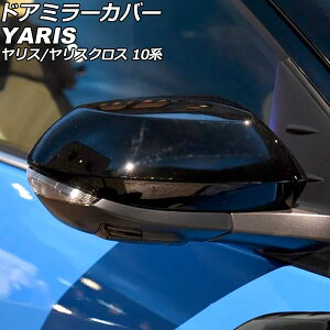 hA~[Jo[ g^ X 10n 2020N02` ubN ABS F1Zbg(E) Door mirror cover