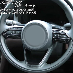 XeAOJo[Zbg g^ ANA MXn 2021N07` ubN ABS F1Zbg(3) Steering cover set