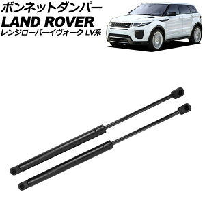 {lbg_p[ h[o[ W[o[CH[N LVn 2012N`2019N ubN XeX F1Zbg(2) AP-4T2003 Bonnet damper