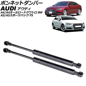 {lbg_p[ AEfB A5/A5X|[cobN F5n O 2017N`2019N ubN XeX F1Zbg(2) Bonnet damper