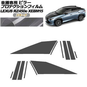 veNVtB s[ NTX RZ450e o[WL XEBM15 2023N03` X[N F1Zbg(12) AP-PF0155-SM01 protection film pillar