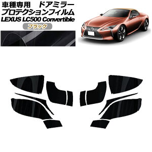 veNVtB hA~[ NTX LC500 Ro[`u URZ100 2020N07` ubN F1Zbg(E) AP-PF0174-BK01 Protection film door mirror