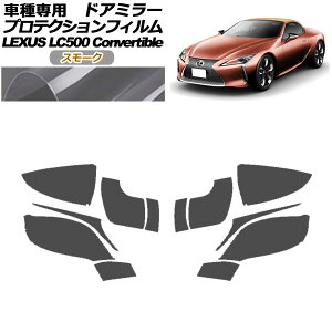 veNVtB hA~[ NTX LC500 Ro[`u URZ100 2020N07` X[N F1Zbg(E) AP-PF0174-SM01 Protection film door mirror