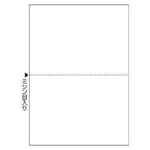 qTS }`v^[ A4 m[J[{  2 FSCF2002(48793) multi printer form