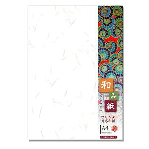 ���剮���X �a�~�� ��� �V�� A4 �����F1��(100P) �i-761V(42696) Japanese paper Tairei