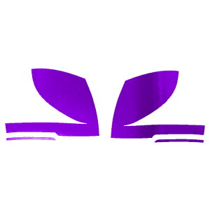 hA~[XebJ[ Y Zi C28,NC28,FC28,FNC28/GC28,GFC28 2022N12` N[ Iׂ20J[ F1Zbg(E) AP-PF2CRM0005 Door mirror sticker