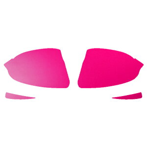 hA~[XebJ[ g^ mA/HNV[/GXN@CA 80n 2014N01`2021N12 }bg FO[v2 F1Zbg(E) AP-PF2CFMT0141 Door mirror sticker