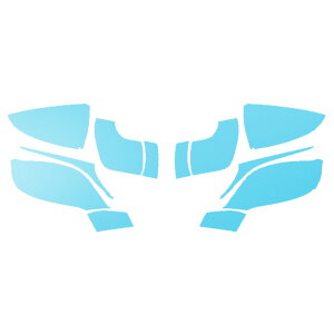 hA~[XebJ[ NTX LC500 Ro[`u URZ100 2020N07` }bg FO[v2 F1Zbg(E) AP-PF2CFMT0174 Door mirror sticker