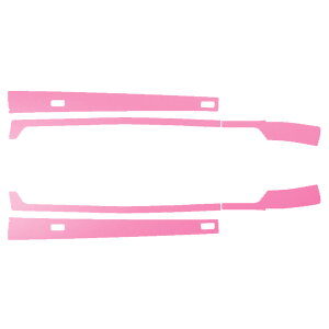 TChhAXebvXebJ[ NTX LC500 Ro[`u URZ100 2020N07` }bg FO[v1 F1Zbg(6) AP-PF2CFMT0176 Side step sticker