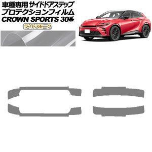 veNVtB TChhAXebv g^ NEX|[c AZSH36/AZSH37 2023N11` CgX[N F1Zbg(4) AP-PF0218-LSM01 Protection film side door step