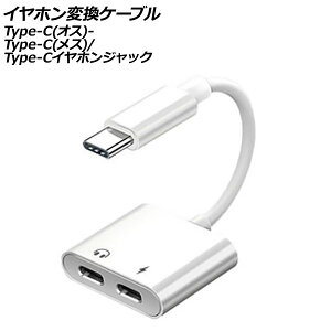 CzϊP[u zCg Type-C(IX)Type-C(X)Type-CCzWbNɕϊI AP-UJ1087 earphone conversion cable