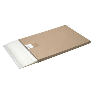 AREuYEWp(ACCO BRANDS) pE`tB A2 F1(100) LP100A2(39517) pouch film