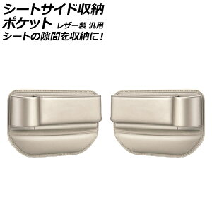 V[gTCh[|Pbg x[W U[ ėp V[ǧԂ[ɁI F1Zbg(2) AP-AS1051-BE Seat side storage pocket