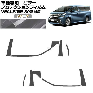 veNVtB s[ g^ Ft@CA 30n O 2015N01`2017N12 X[N F1Zbg(10) AP-PF0244-SM01 protection film pillar