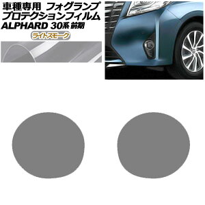 veNVtB tHOv g^ At@[h 30n O 2015N01`2017N12 CgX[N F1Zbg(E) AP-PFFL0012-LSM01 protection film fog lamp