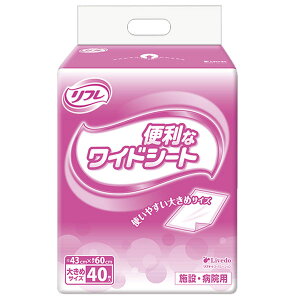 t {݁Ea@p ֗ȃChV[g 43cm×60cm 傫߃TCY g₷傫߃TCYI F1pbN(40)
