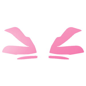 hA~[XebJ[ g^ Ft@CA 30n  2018N01`2023N05 }bg FO[v1 F1Zbg(E) AP-PF2CFMT0248 Door mirror sticker