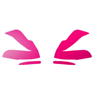 hA~[XebJ[ g^ Ft@CA 30n  2018N01`2023N05 }bg FO[v2 F1Zbg(E) AP-PF2CFMT0248 Door mirror sticker