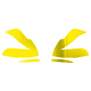 hA~[XebJ[ g^ Ft@CA 30n  2018N01`2023N05 N[ Iׂ20J[ F1Zbg(E) AP-PF2CRM0248 Door mirror sticker