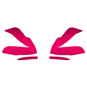 hA~[XebJ[ g^ Ft@CA 30n  2018N01`2023N05 }bgN[ Iׂ20J[ F1Zbg(E) AP-PF2MTCR0248 Door mirror sticker