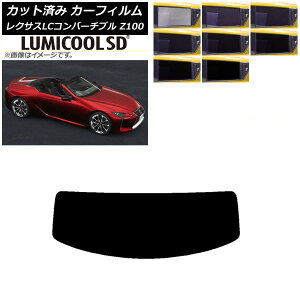 J[tB NTX LCRo[`u URZ100 2019N01` AKX(1^) ōi ~N[SD Iׂ8tBJ[ AP-WFLC0069-R1 Car film