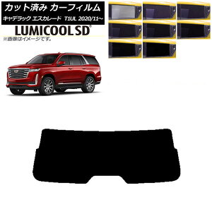 J[tB LfbN GXJ[h T1UL 2020N11` AKX(1^) ōi ~N[SD Iׂ8tBJ[ AP-WFLC0383-R1 Car film