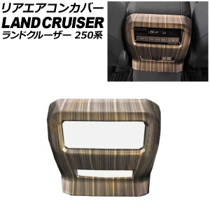 AGARJo[ g^ hN[U[250 250n 2024N04` J[2 ABS AP-IT3871-COL2 Rear air concovered