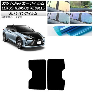 J[tB NTX RZ450e XEBM15 2023N03` T[t JI Iׂ3tBJ[ AP-WFCM0407-S Car film