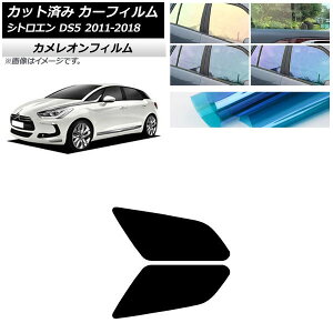 �J�[�t�B���� �V�g���G�� DS5 2011�N�`2018�N ���A�h�A�Z�b�g �J�����I�� �I�ׂ�3�t�B�����J���[ AP-WFCM0417-RD Car film