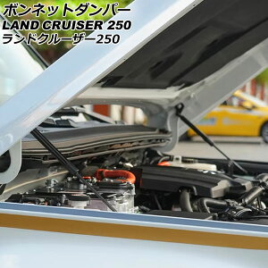 {lbg_p[ g^ hN[U[250 250n 2024N04` AP-4T3112 Bonnet damper