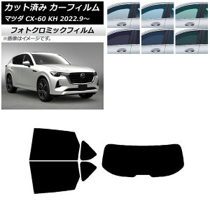 J[tB }c_ CX-60 KH 2022N09` O[7520 AZbg(1^) tHgN~bN AP-WFPM0399-RDR1 Car film