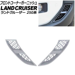 tgR[i[K[jbV g^ hN[U[250 250n 2024N04` }bgVo[ ABS F1Zbg(2) AP-XT2557-MSI Front corner garnish