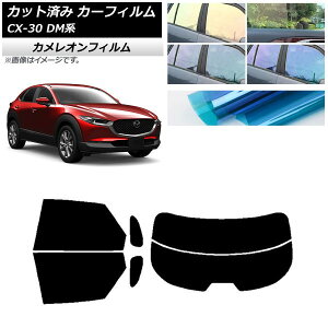 J[tB }c_ CX-30 DMn 2019N10` AZbg() JI Iׂ3tBJ[ AP-WFCM0176-RDR2 Car film