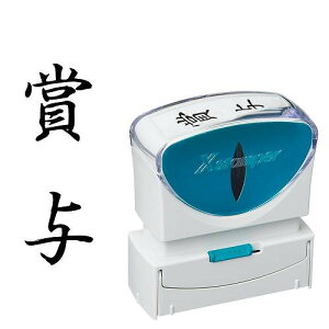 �V���`�n�^ �r�W�l�X�L���b�v���XB�^ �� �y�ܗ^�z�^�e X2-B-201V4(42543) Business capless type