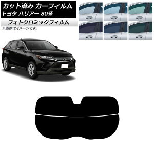 J[tB g^ nA[ 80n 2020N06` u[7025 AKX() tHgN~bN AP-WFPM0003-R2 Car film