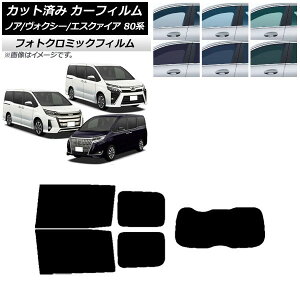J[tB mA/HNV[/GXN@CA 80n 2014N01` ubN7535 AZbg(1^) tHgN~bN AP-WFPM0019-RDR1 Car film