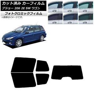 �J�[�t�B���� �v�W���[ 206 2E SW ���S�� 2002�N�`2006�N �O���[��7520 ���A�Z�b�g(1���^) �t�H�g�N���~�b�N AP-WFPM0349-RDR1 Car film