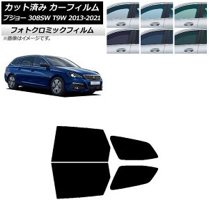 J[tB vW[ 308 T9W Xe[VS 2014N`2021N u[7025 AhAZbg tHgN~bN AP-WFPM0357-RD Car film