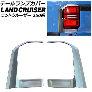 e[vJo[ g^ hN[U[250 250n 2024N04` }bgVo[ ABS F1Zbg(2) AP-RF343-MSI Tail lamp cover