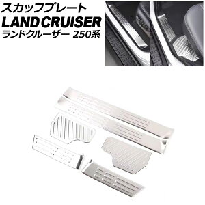 XJbtv[g g^ hN[U[250 250n 2024N04` Vo[ XeX F1Zbg(6) AP-SG390-SI Scuff plate