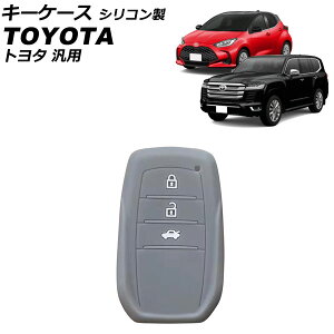 L[P[X O[ VR g^ ėp hN[U[ NE X nA[ Ȃ AP-AS1078-GY key case