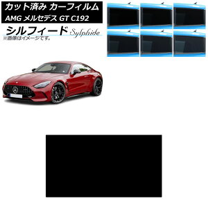 J[tB AMG ZfX GT C192 2024N04` T[t VtB[h Iׂ6tBJ[ AP-WFSC0461-S Car film