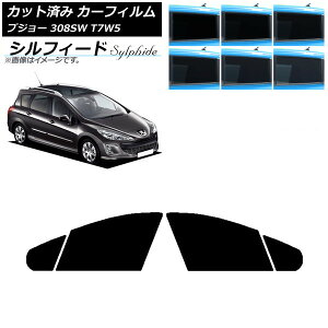 J[tB vW[ 308 T7W5 Xe[VS 2008N`2014N tghAZbg VtB[h Iׂ6tBJ[ AP-WFSC0355-FD Car film