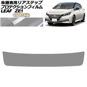 veNVtB AXebv Y [t ZE1^  2017N10` CgX[N AP-PF0290-LSM01 Protection film rear step