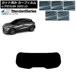 J[tB NTX LBX MAYH10/MAYH15 2023N12` AKX(1^) WINCOS X^_[h Iׂ5tBJ[ AP-WFGY0438-R1 Car film