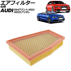 GAtB^[ AEfB RS5 8TCFSF 2010N`2017N E air filter