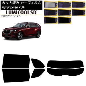J[tB }c_ CX-80 KLn 2024N10` AZbg() ~N[SD Iׂ8tBJ[ AP-WFLC0471-RDR2 Car film